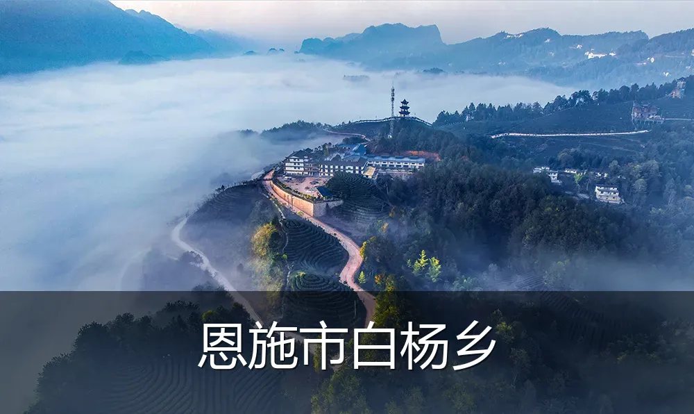 恩施市白杨乡