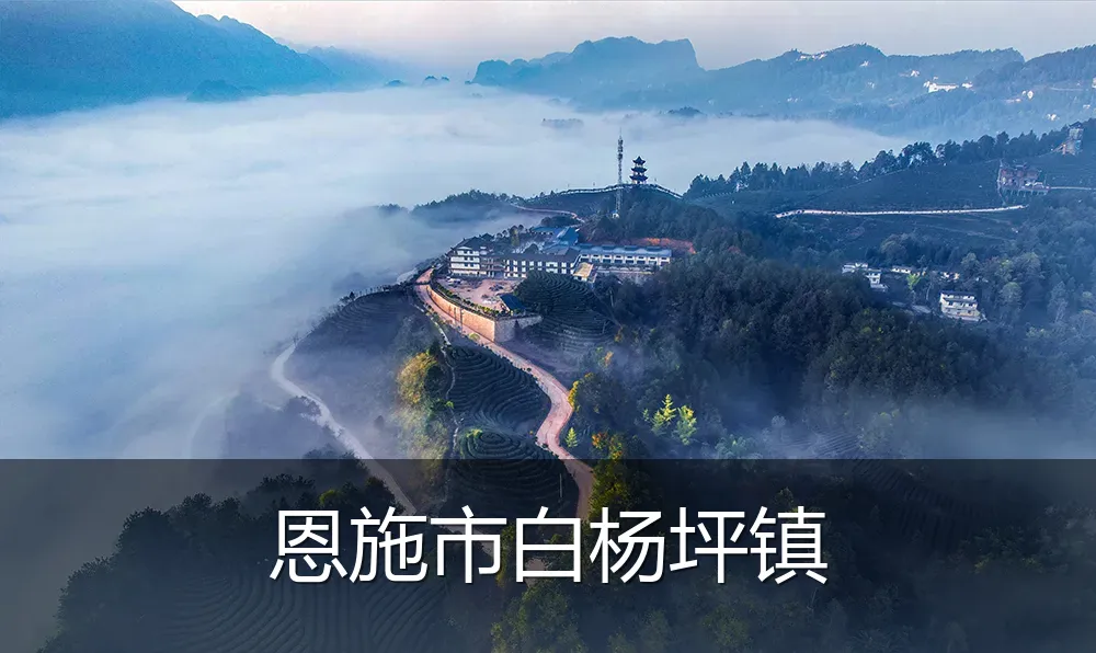 恩施市白杨坪镇