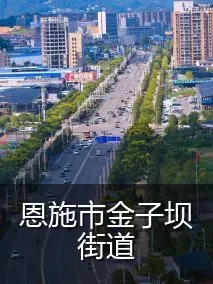 恩施市金子坝街道